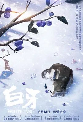 久久深夜视频